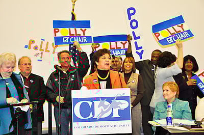 Dems pick Palacio for state chairman