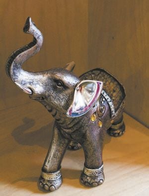 STYLE MATTERS: Exploring Gift Shops at Denver’s Cultural Institutions