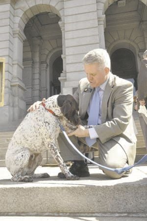 Committee gives unanimous wags to Dog Protection Act