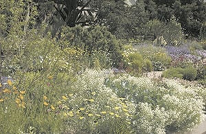 Denver Botanic Gardens is Colorado Proud!