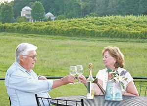 Martha Ezzard: Lawyer, journalist, Colorado elected official, and now wine grower in the land of sweet tea