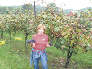 Martha Ezzard: Lawyer, journalist, Colorado elected official, and now wine grower in the land of sweet tea