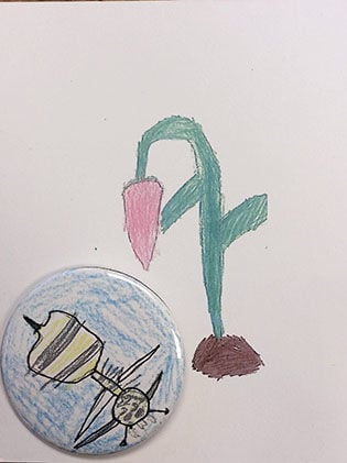 Kindergarteners create buzz about declining bee population