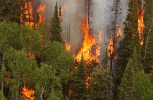 Obama officials blast Congress over funding to fight wildfires