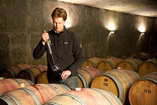 Colorado’s winegrowers meet the challenge of high altitude farming