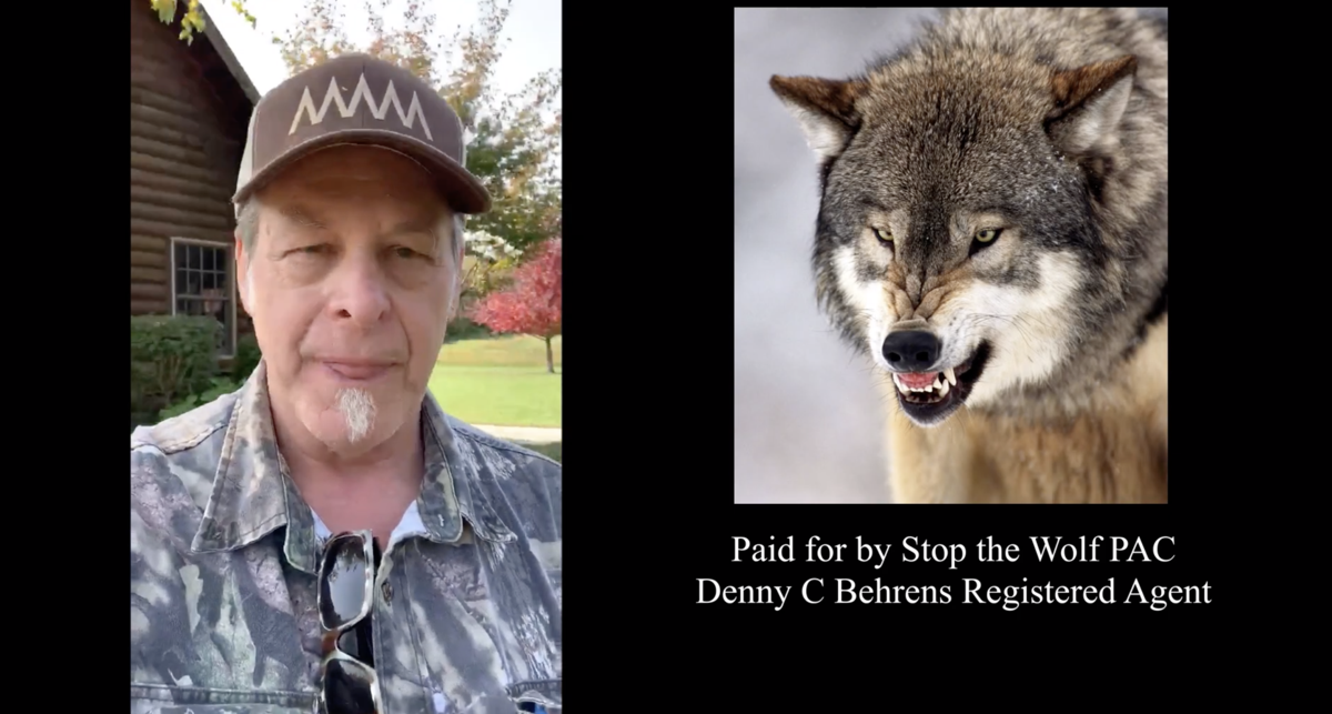Ted Nugent wolf