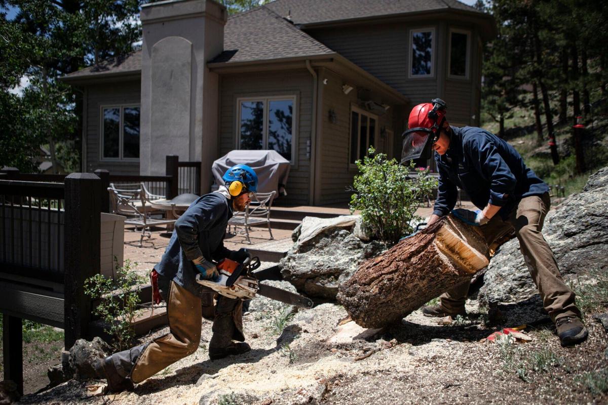 06xx22-dg-news-EvergreenFireMitigation01.JPG