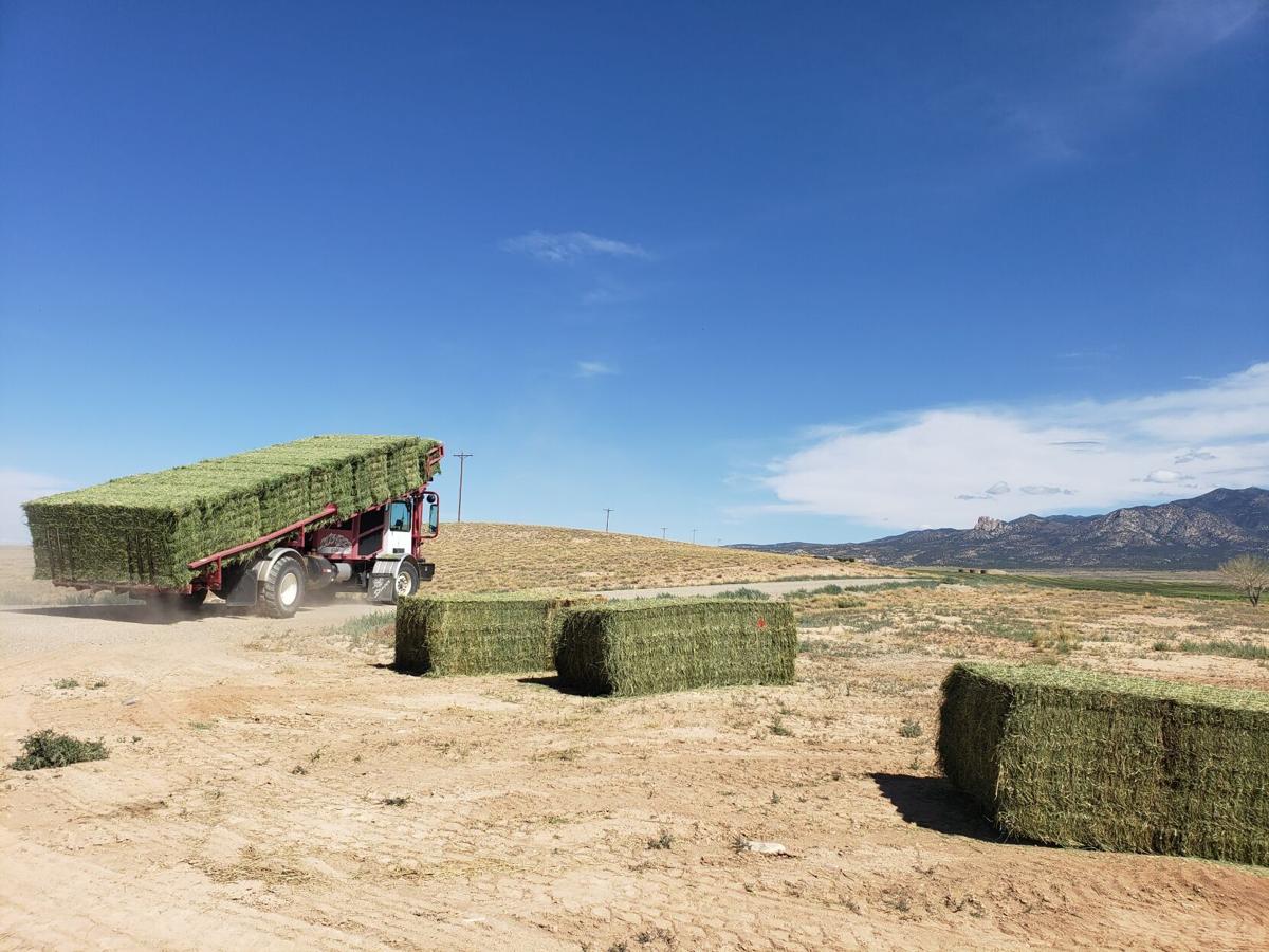 StackingBales.jpg