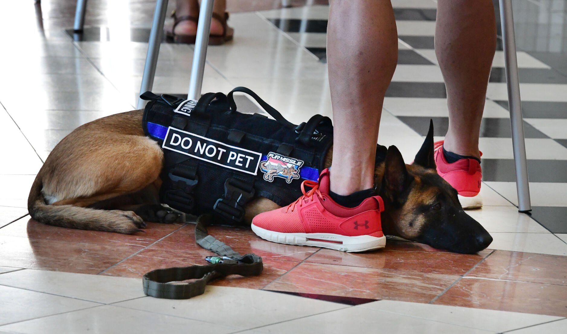 110420-dg-election 11.JPG