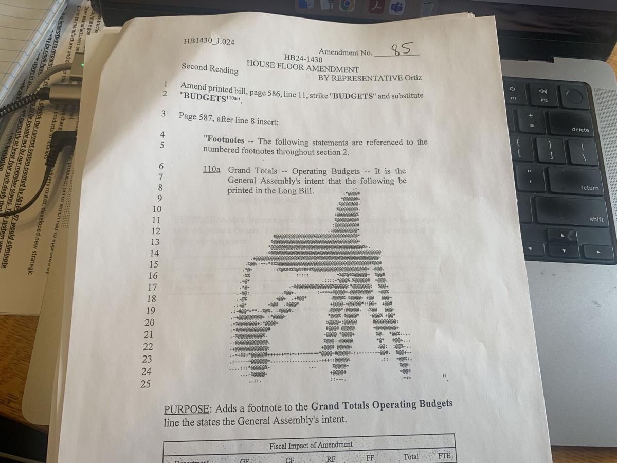 Long Bill amendment David Ortiz