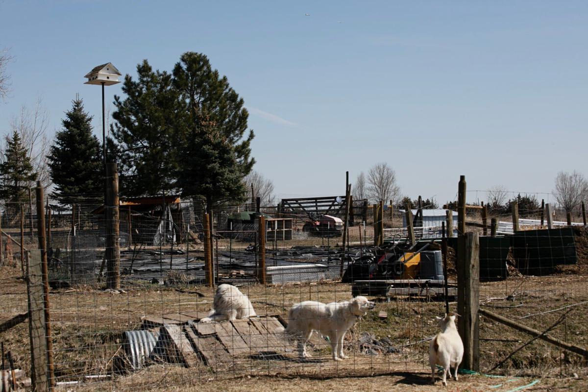 Planes fly above Hep Ingram's farm property in Boulder