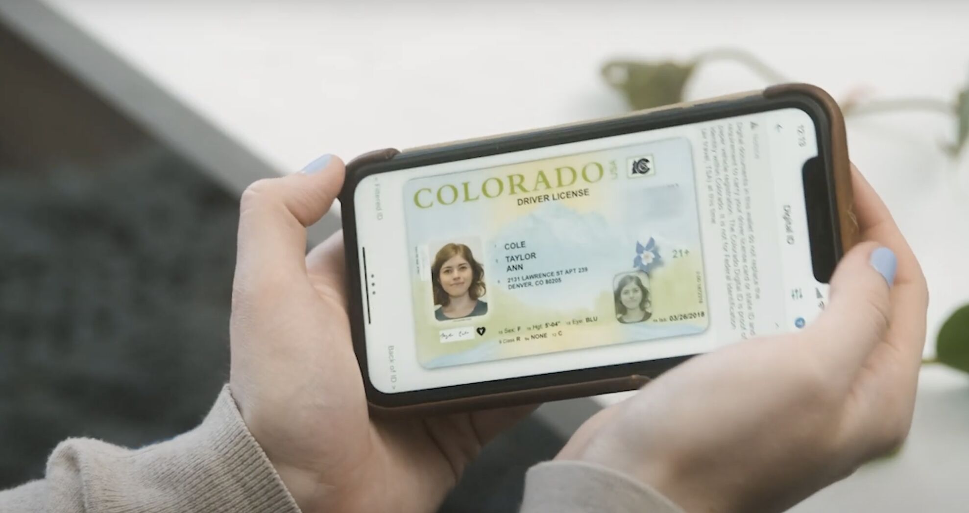 Coloradans can now add their ID cards to Apple Wallet
