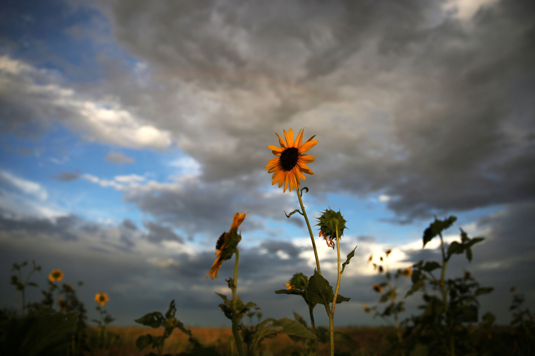 Summer rains boost soil moisture to 8-year high, but Colorado water forecast “tenuous”