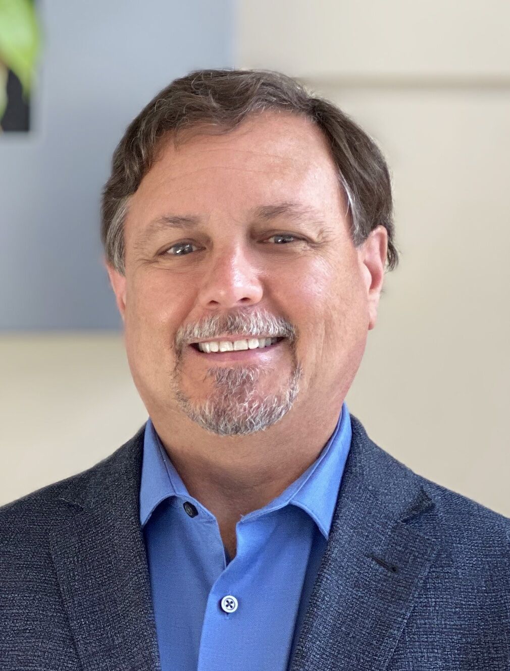 OPINION | ‘Public banks’ would pose risks, play politics