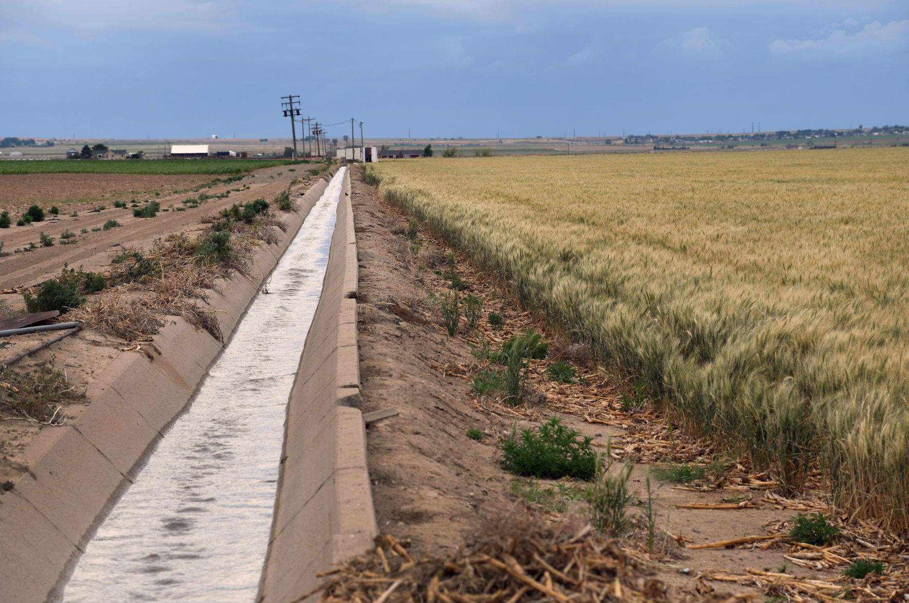 Neguse joins in congressional effort to reform pesticide use