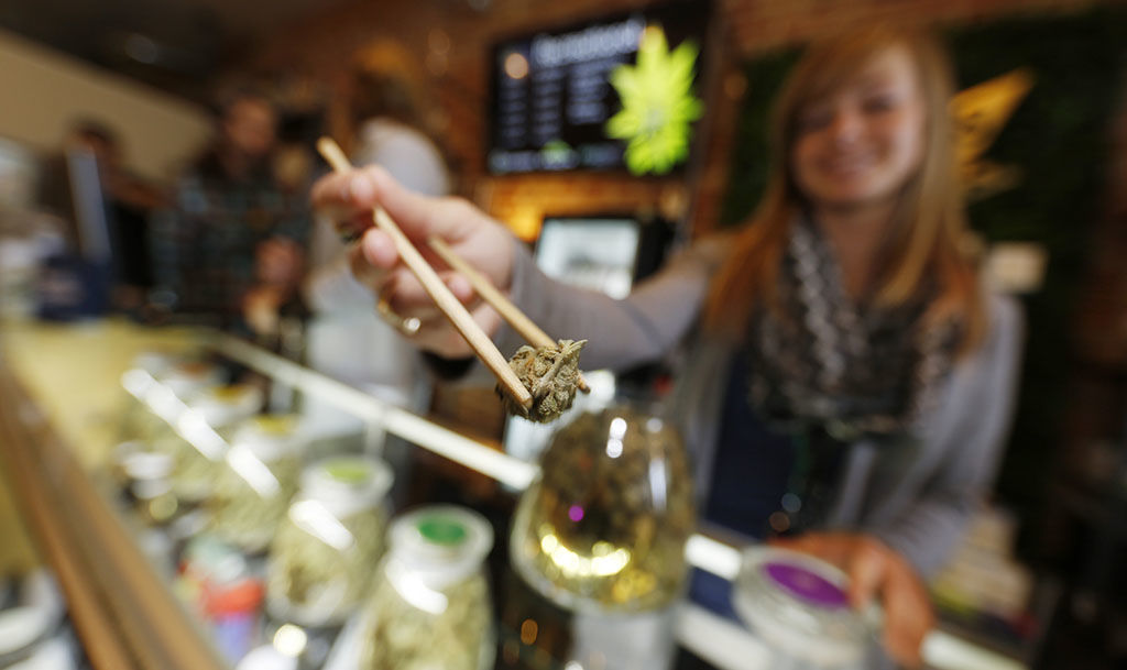 Legal marijuana is saving lives in Colorado, study finds