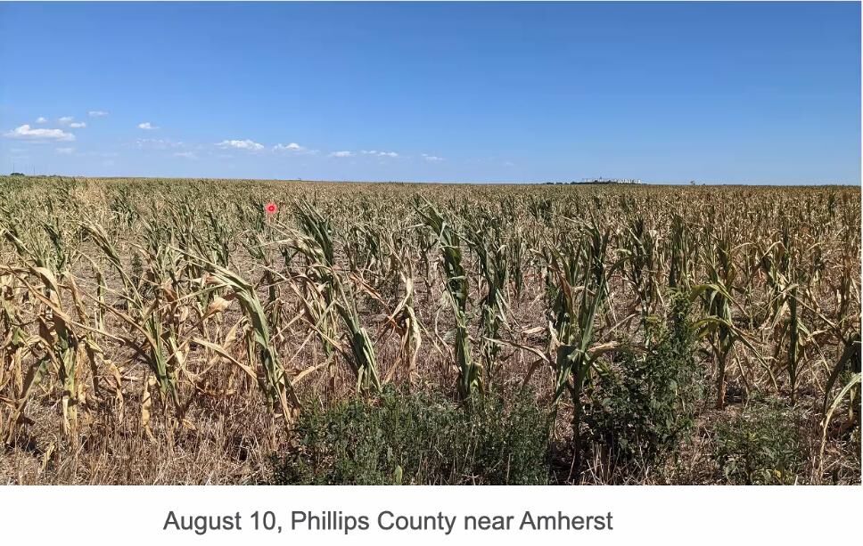 Monsoon moisture takes a little out of the drought, water watchers say