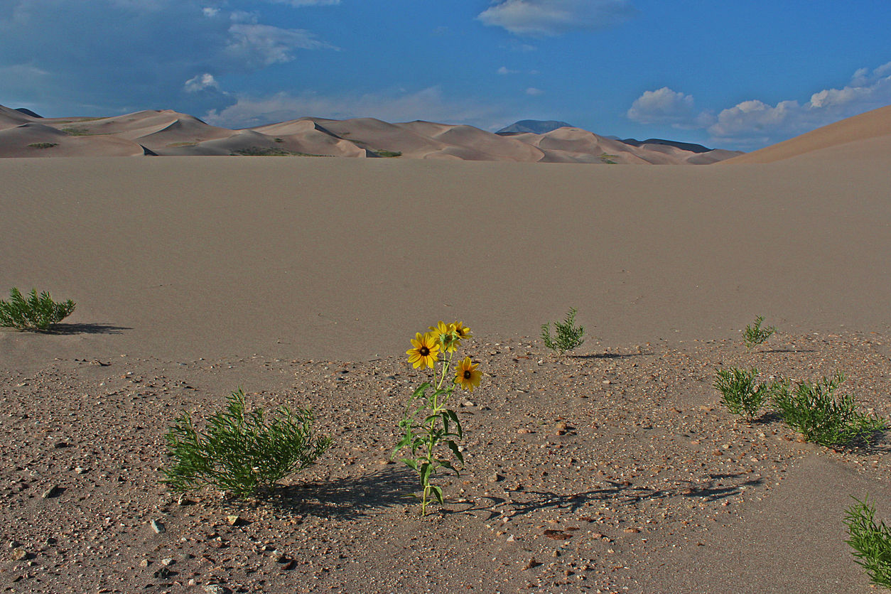 Updated: Colorado House Democrats to lead committee and hearings on climate change