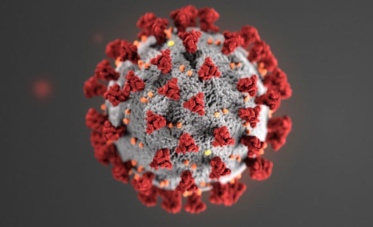 Strategies used against delta will remain vital against omicron, Colorado officials say