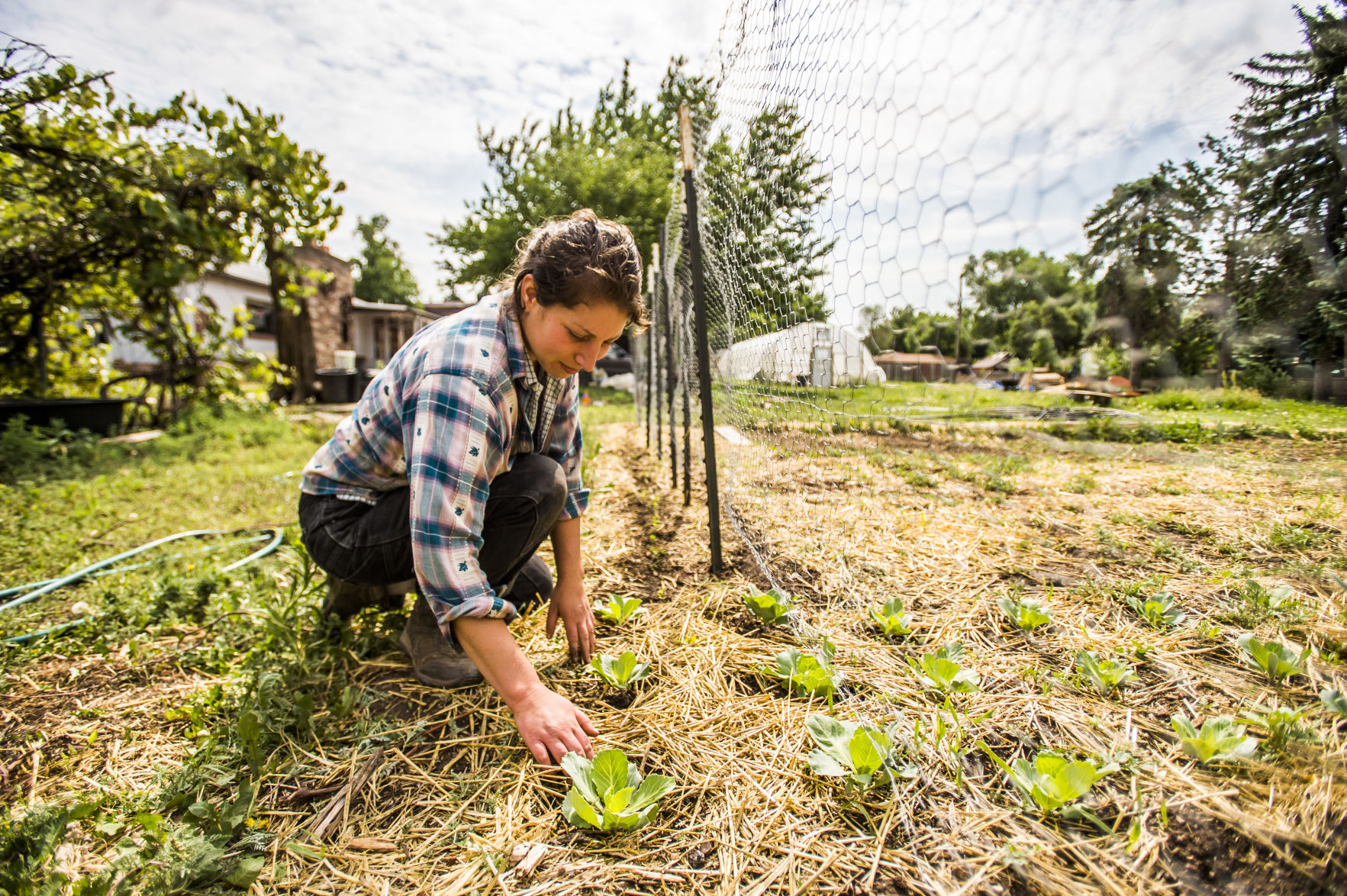 Southern Colorado farmers and ranchers eligible for drought assistance