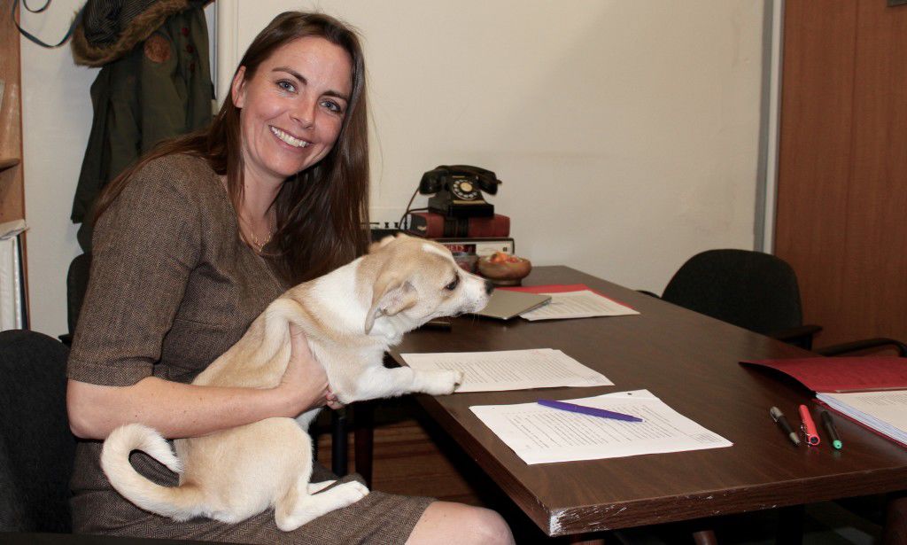 Farm and ranch internships pass Colorado Senate, with taxpayers pitching in on pay