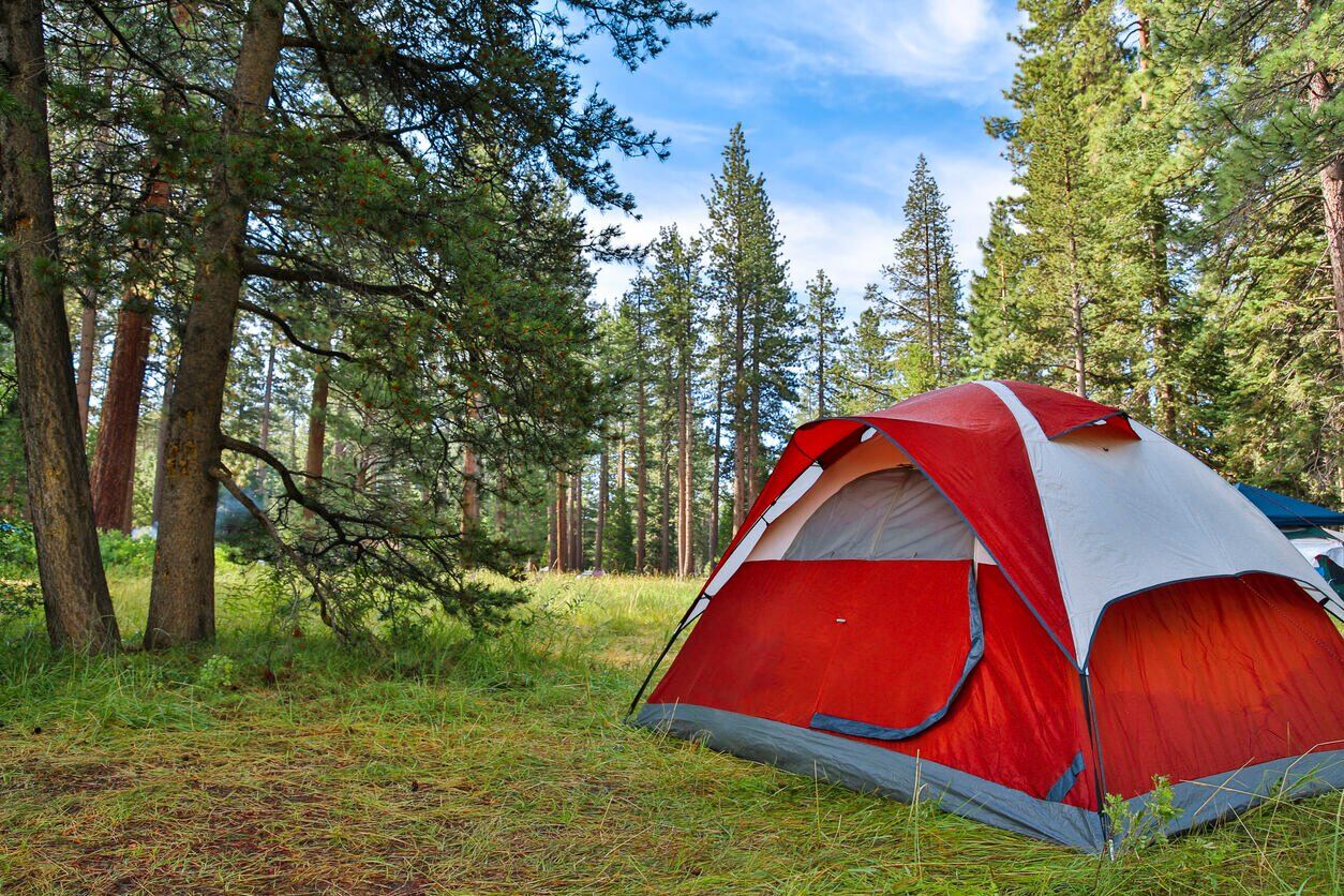 State auditors say Colorado Parks and Wildlife failed to maximize public’s use of campsites