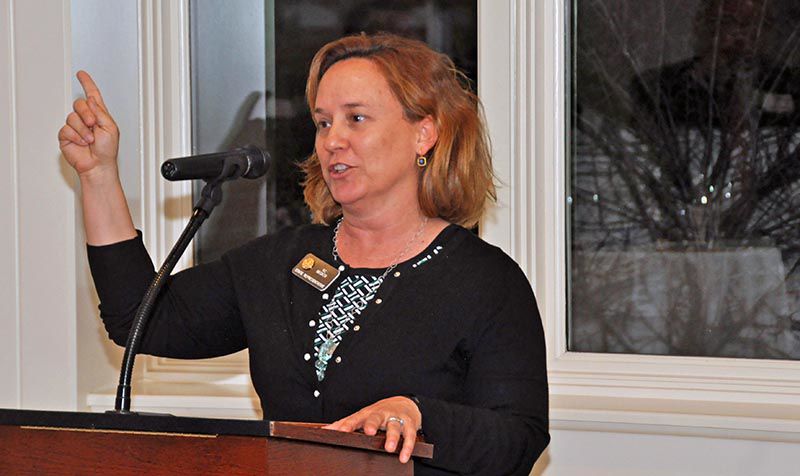 CAPITOL M | The 2019 General Assembly, by the numbers