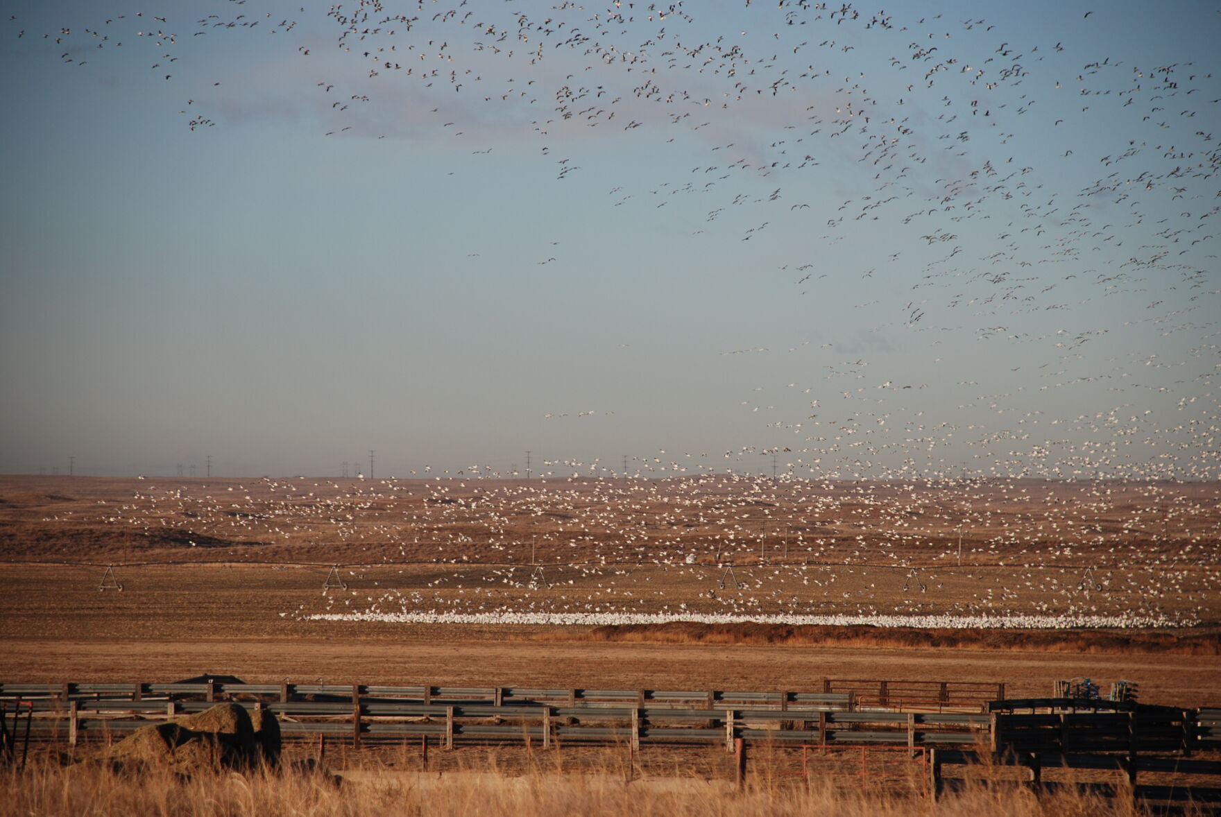 Drought conditions continue to ease as August could see “above-average” rainfall