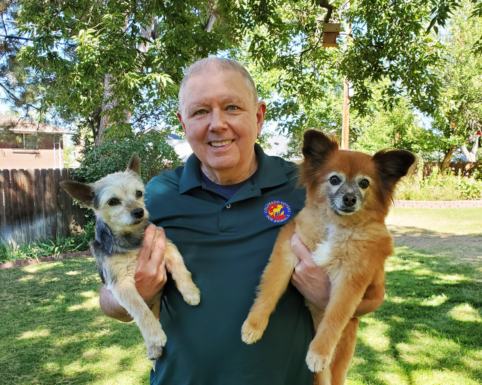 Q&A with Roland Halpern, advocate for animals