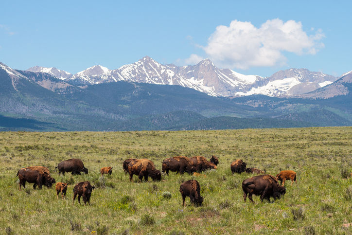 IN RESPONSE: Farm bill is an investment in rural Colorado’s economy