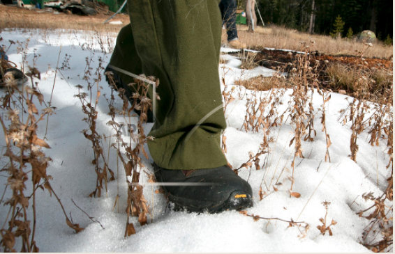 It rained in Albuquerque Wednesday night