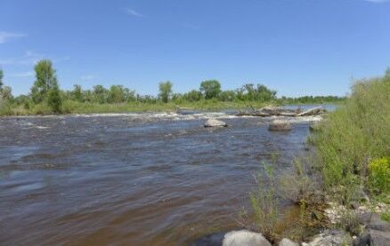 Craig eyes recreation as one possibility for replacing extraction