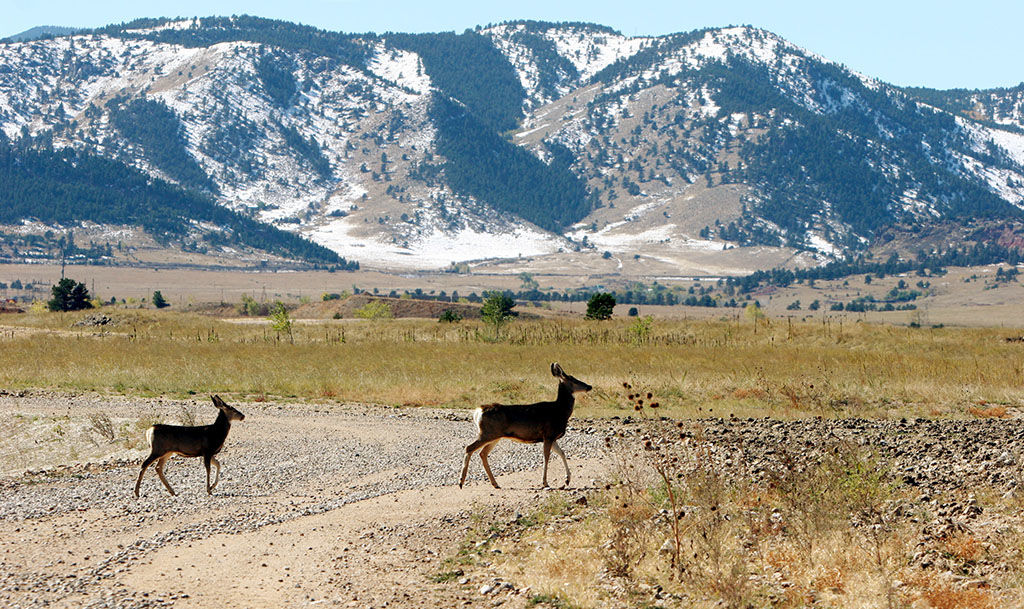 Activists go to court to block refuge at Rocky Flats