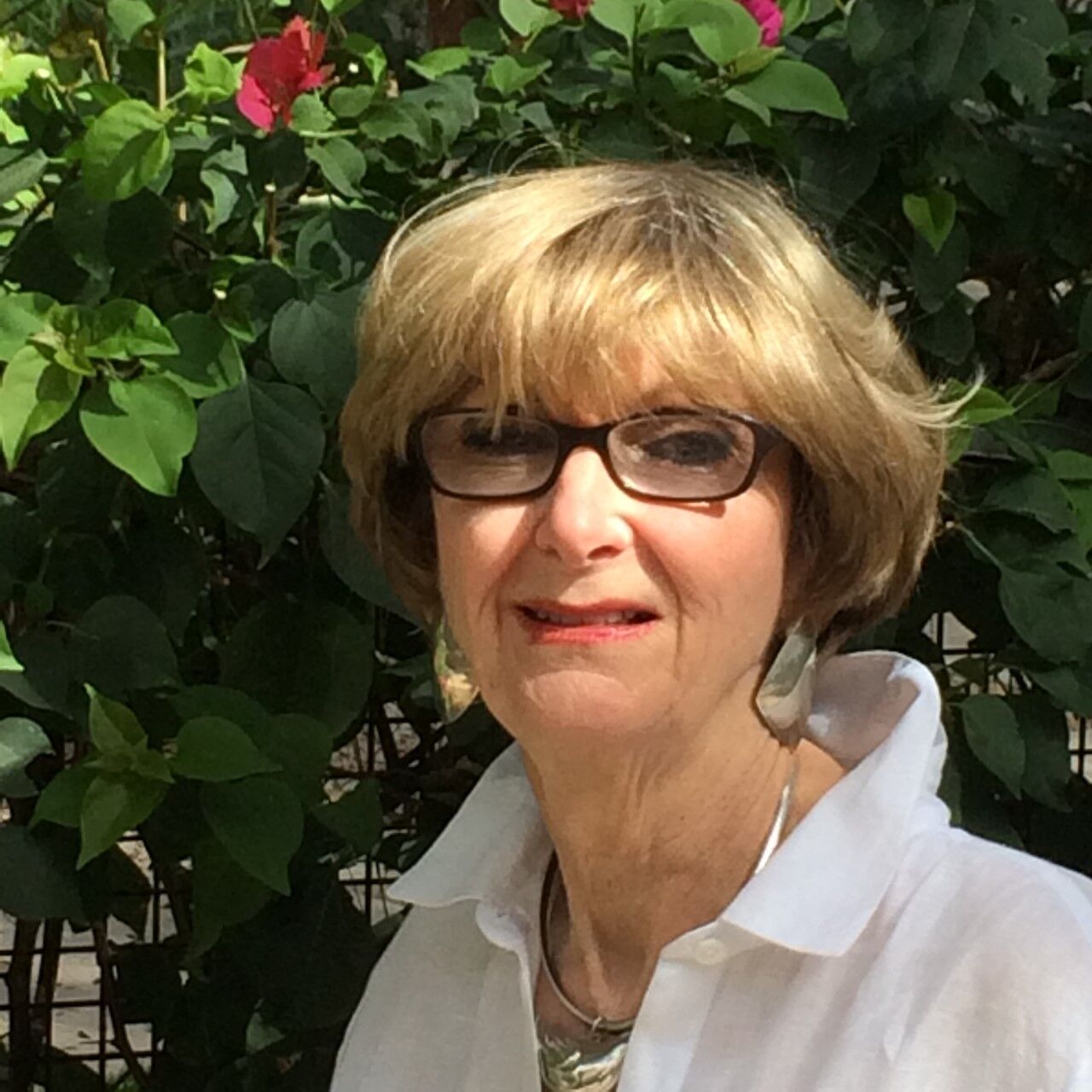 Colorado must limit use of electronic ballots