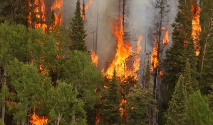 Obama officials blast Congress over funding to fight wildfires