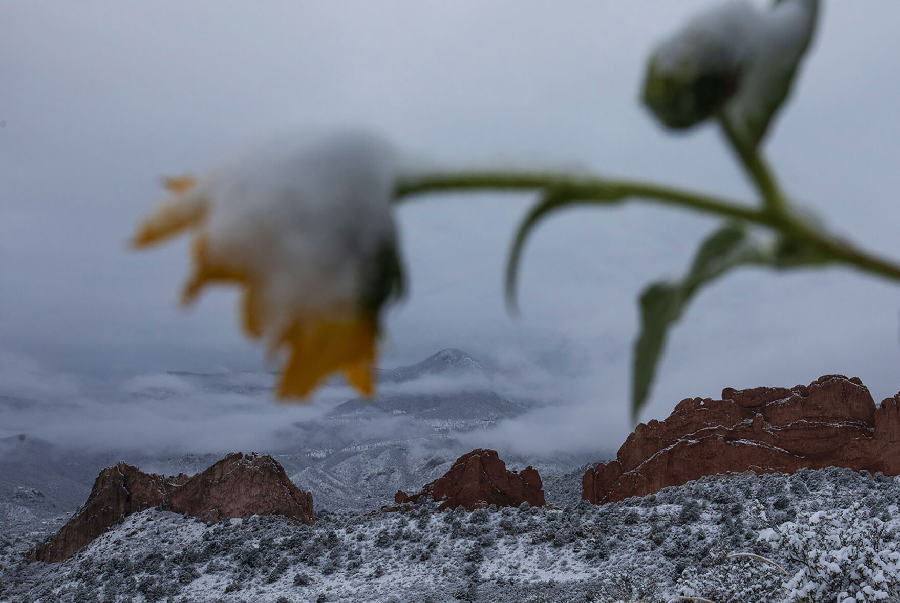 Economist: Expect rough winter as pandemic spreads, stronger recovery for Colorado after