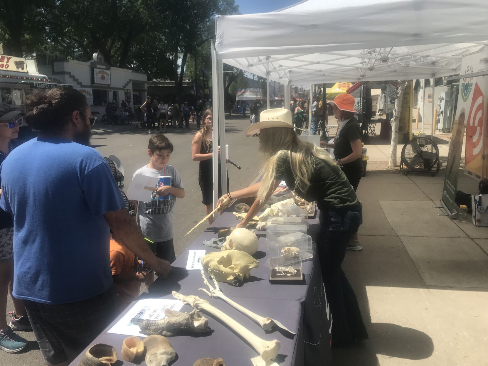 ‘Learning can be fun, too’: Colorado State Fair offers information as well as entertainment