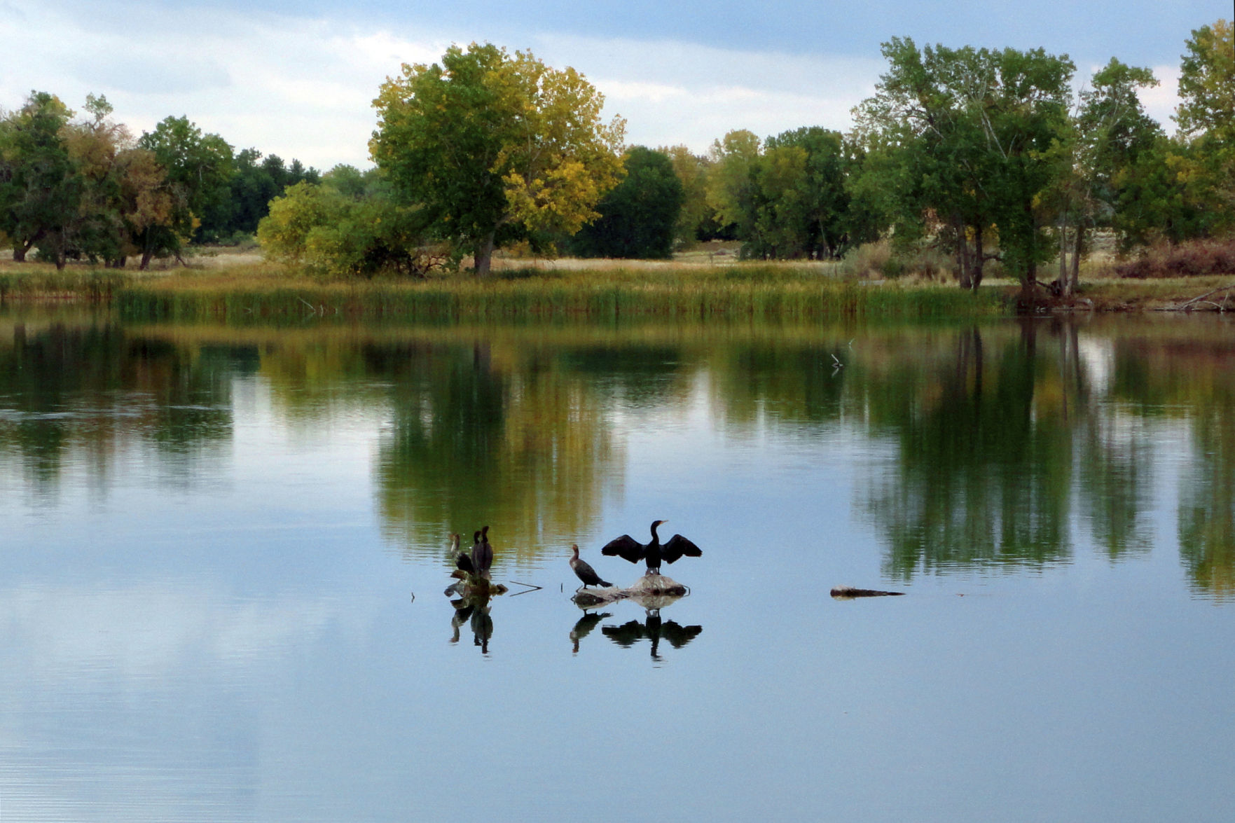 Near Denver and elsewhere, wildlife now roams where US once forged its deadliest weapons