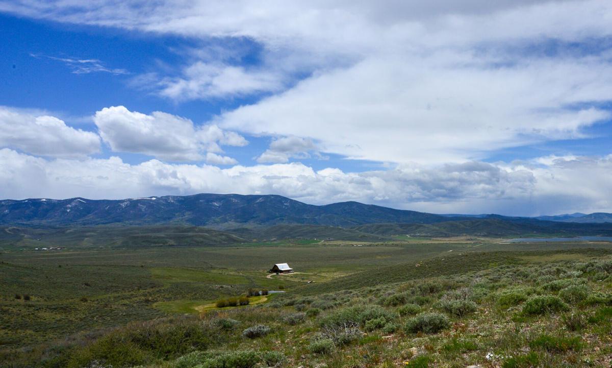 Wolves Middle Park Rancher-1.jpg