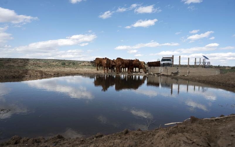 Rural Reckoning | Polis, lawmakers say housing, health policies benefit rural Colorado