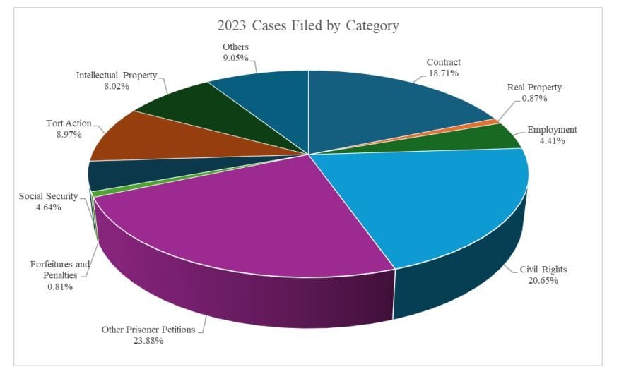 Civil cases by category in US District Court for Colorado