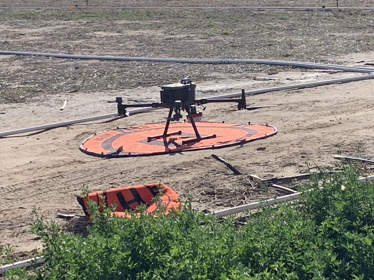 Drone CSU forage
