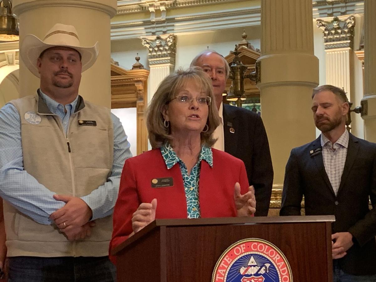 Sen. Barbara Kirkmeyer, postspecial session presser