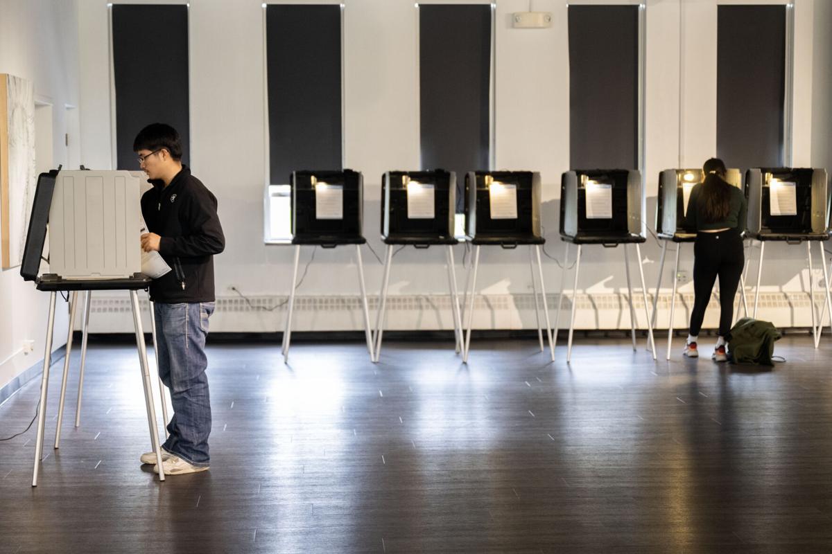 Voting (copy)