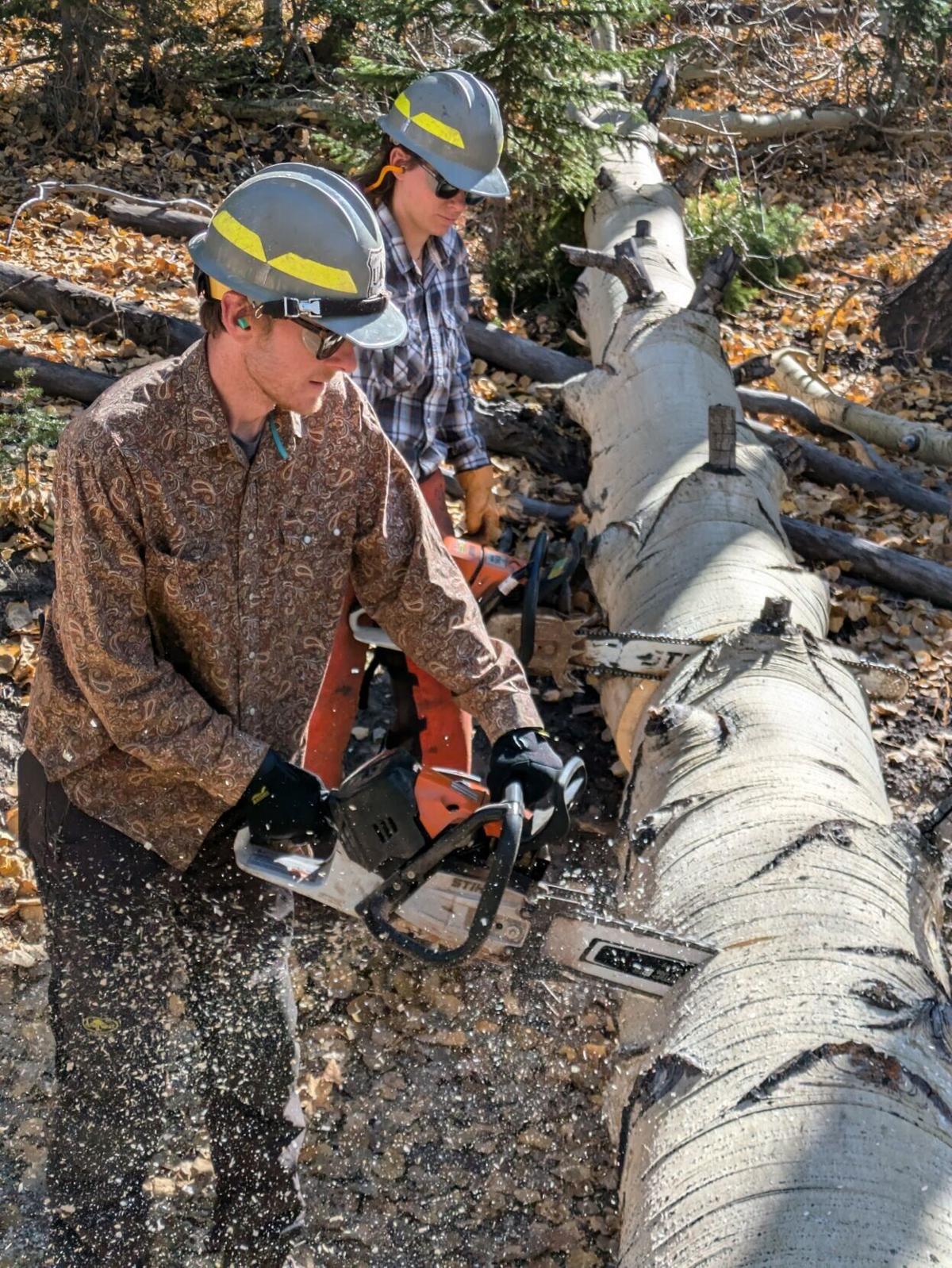 Forest Service worker Ian McDonald with a chainsaw