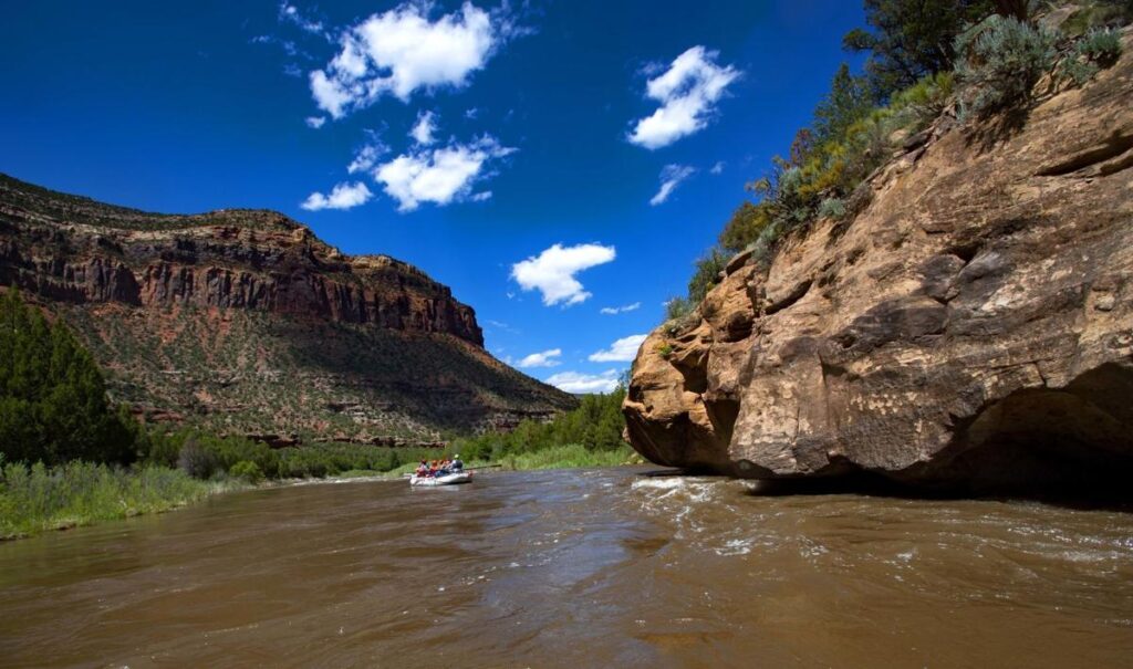 Water Power Struggle: Upper basin states allege downstream ‘overuse’