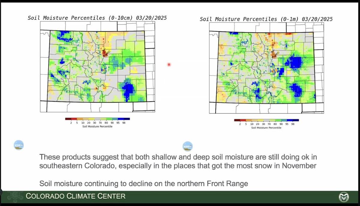 soil moisture.jpg March 2025