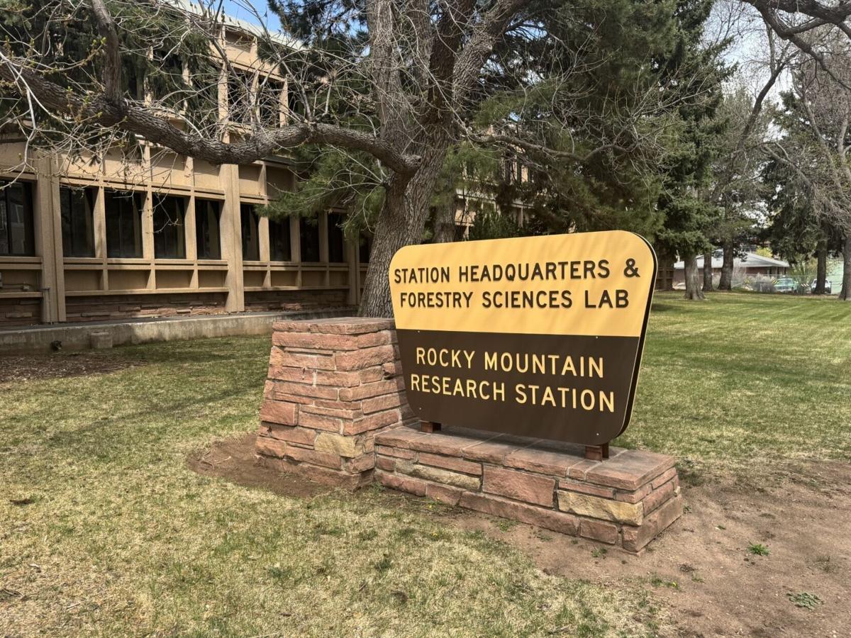 Forest Service Building