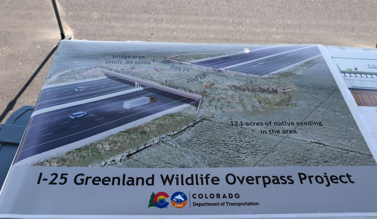 I-25 Greenland wildlife overpass