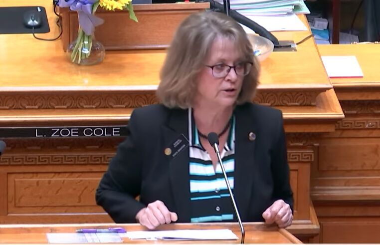Sen. Barbara Kirkmeyer, R-Brighton, debates a bill on property tax refunds. (Courtesy Colorado Channel)